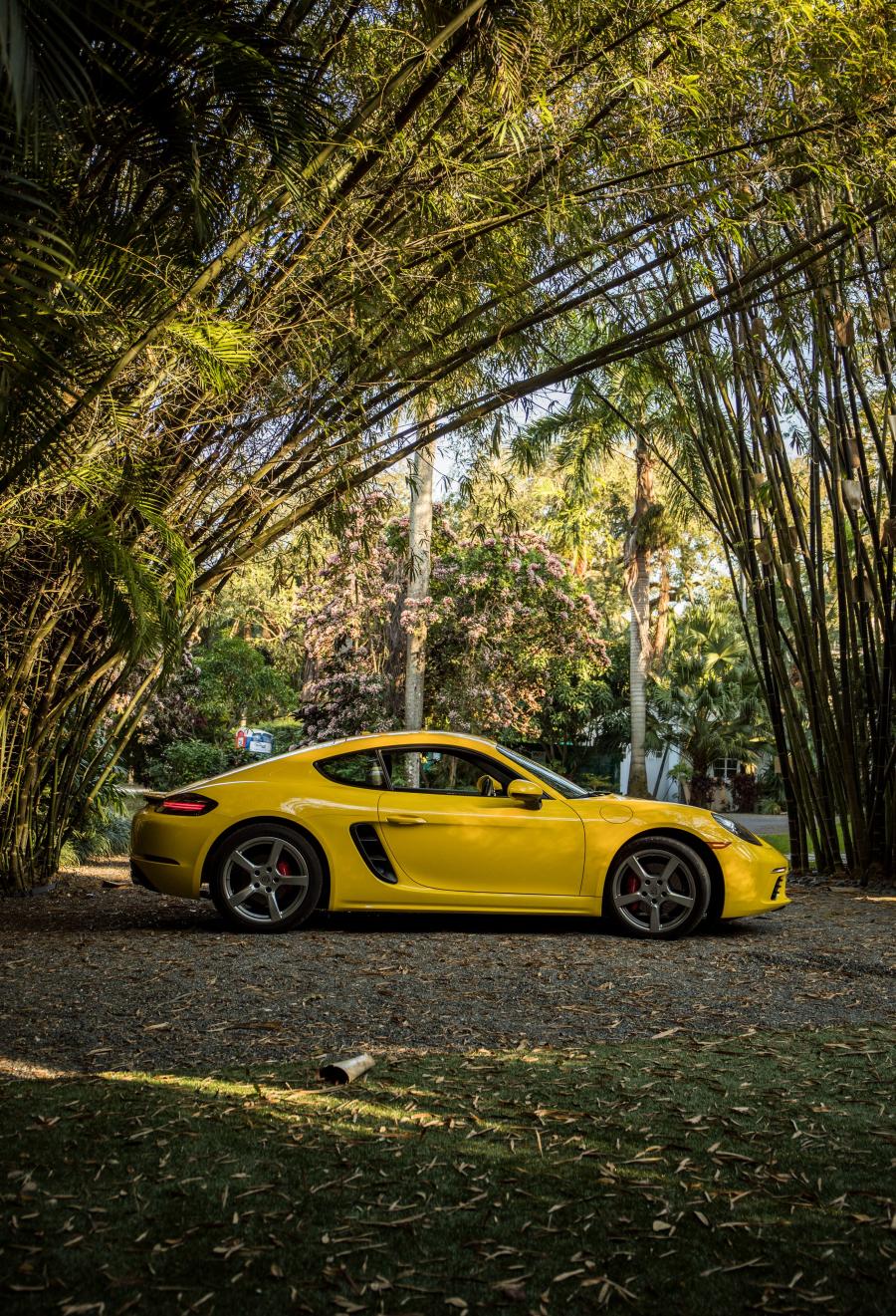  Porsche 718 Cayman S 2016 года  (NA) (фото 17 из 36)
